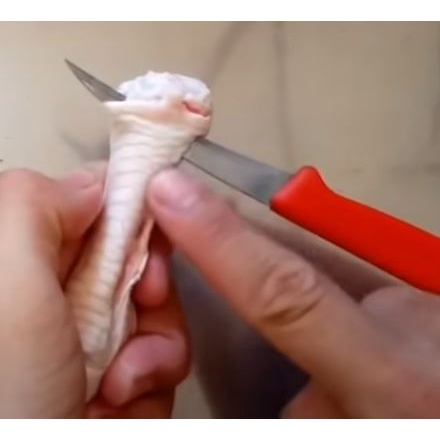 Dao tỉa hoa quả THÁI LAN KIWI sắc bén dao rút xương chân gà đa năng