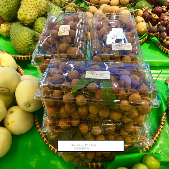 100 hộp đựng trái cây 1kg P1000A