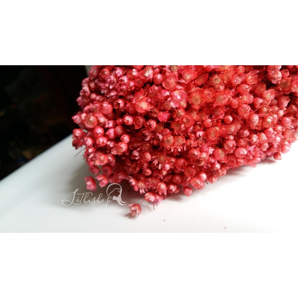 Bó hoa Glixia màu hồng mới