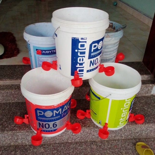 Máng uống nước tự động cho gà gắn xô sơn hiệu quả