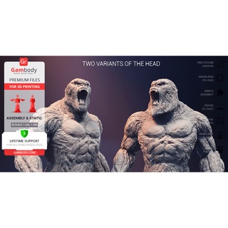 File in  3D King Kong