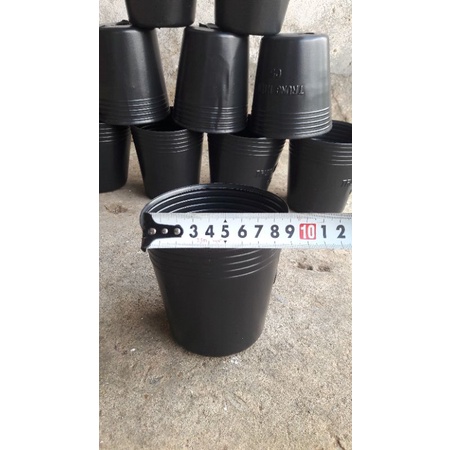 Chậu nhựa trồng sen đá xương rồng ươm cây cảnh