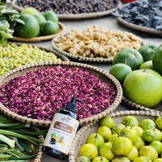 Dầu Gội Thảo Dược