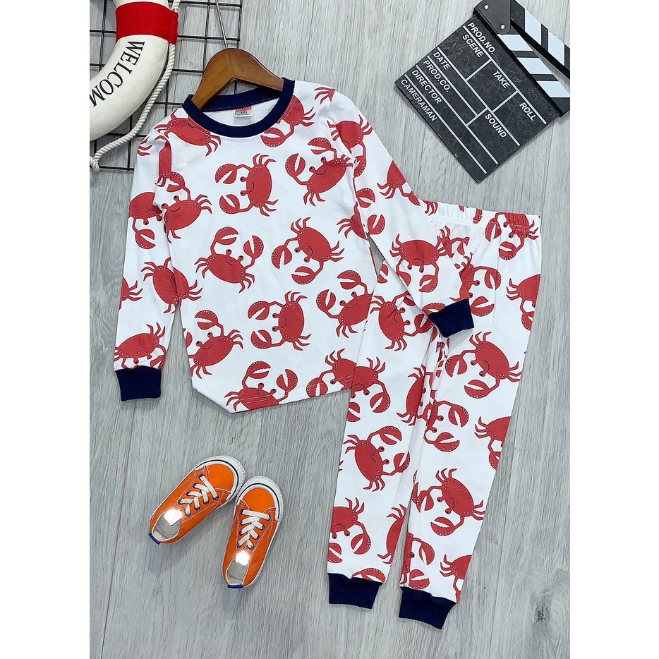 Bộ bé trai, đồ bộ bé trai dài tay size đại thun cotton VNXK Jennie kids J464