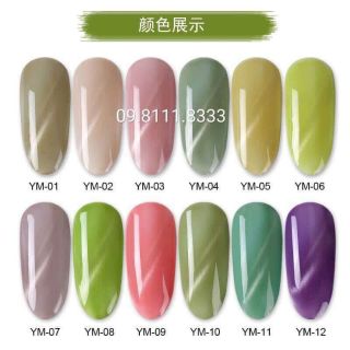 Sỉ sơn gel as