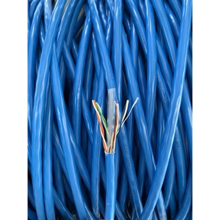 Cuộn Dây mạng cat5 ampp trắng 305m