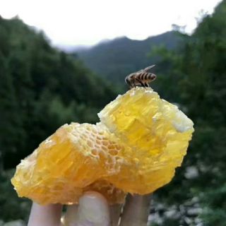 5 lít mật ong hoa cà phê - Vip