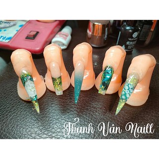 ngón tay mẫu nail