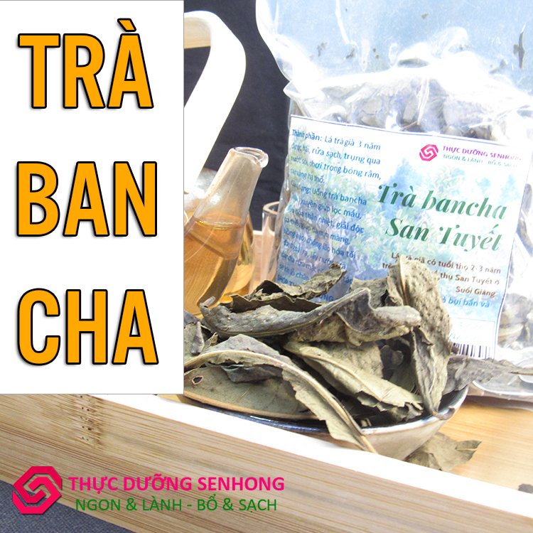 Trà bancha Shan Tuyết  Lá trà già 3 năm