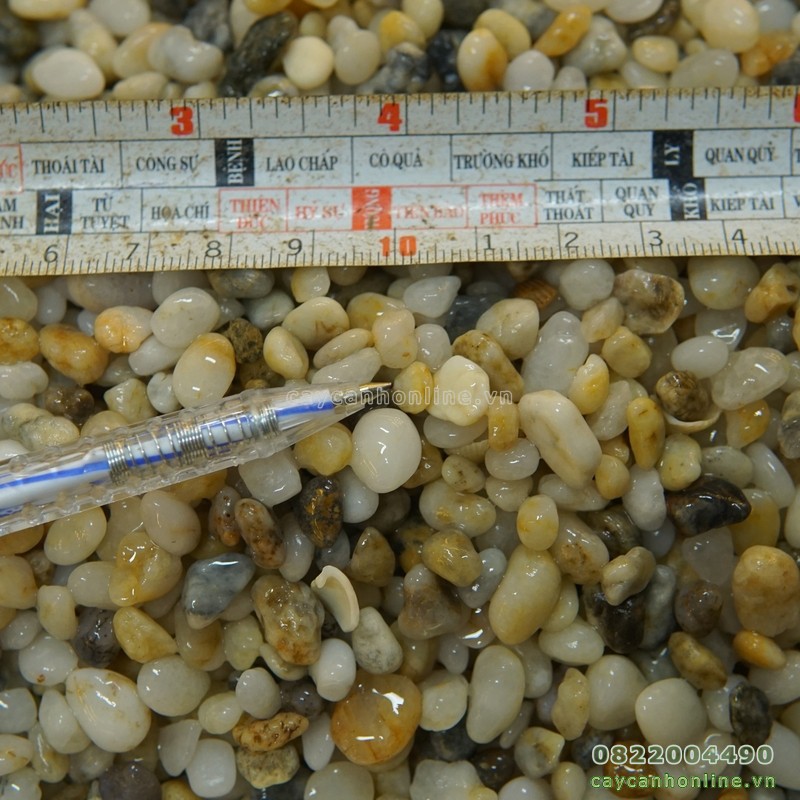 1kg sỏi biển trang trí tiểu cảnh chậu cây cảnh mini