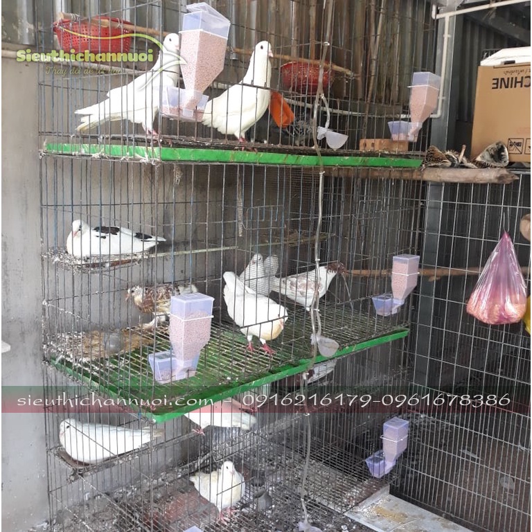 Máng ăn tự động cho chim | Máng ăn cho gà | Cóng ăn tự động cho chim