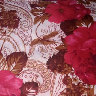 Bộ Ga Cotton 4 Món 1m2