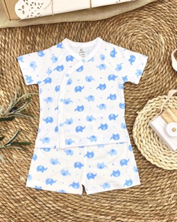 Bộ Moon ngắn sơ sinh chất Petit
