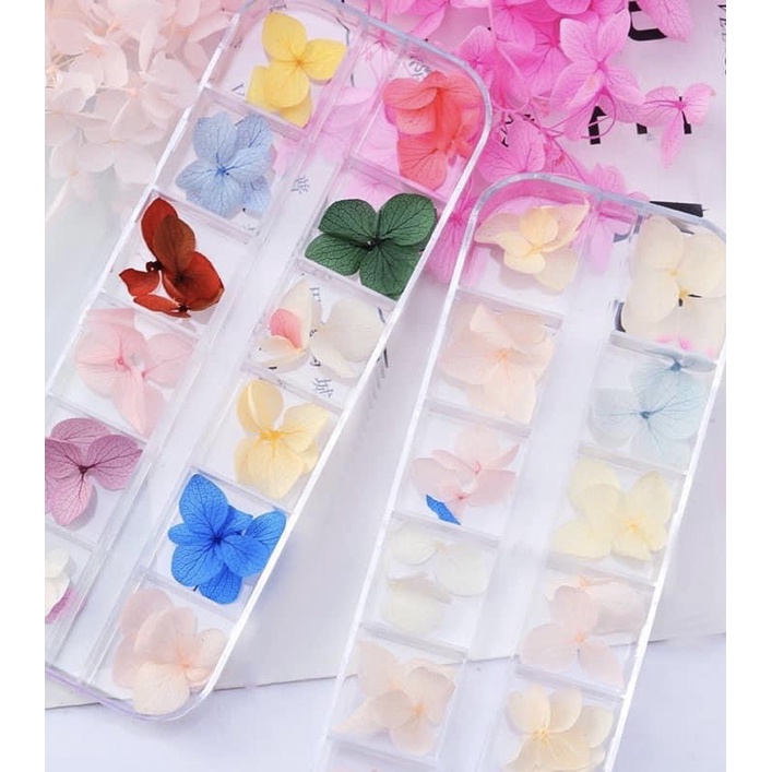 Hoa Khô Ẩn Gel , Hoa Khô Làm Nai, Hoa Khô Trang Trí