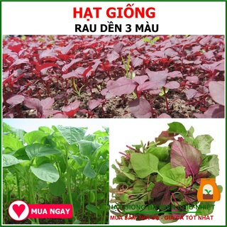 Hạt Giống Dền 3 Màu Phú Nông 50gram
