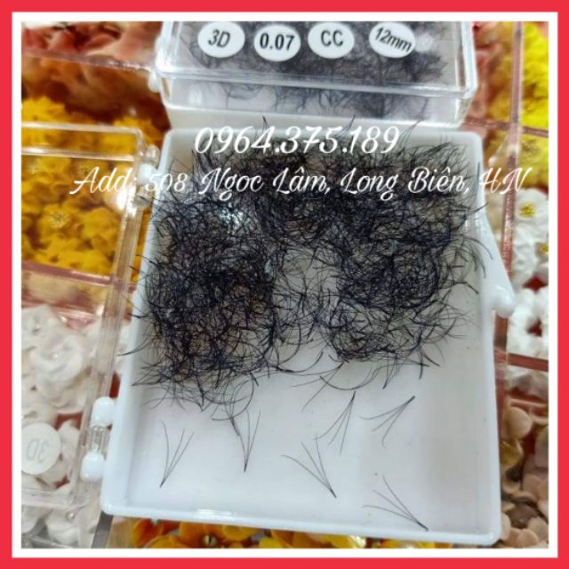 Mi fan sẵn 3D - Mi fan đẹp xuất sắc, chân nhỏ bắt keo