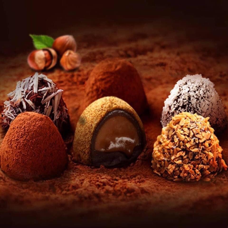 Socola Tươi Nama Truffles - Hộp 500g- Mèo Ăn Vặt