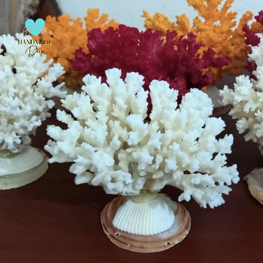 San hô chụp ảnh trang trí bàn trà, tủ trà, bể cá