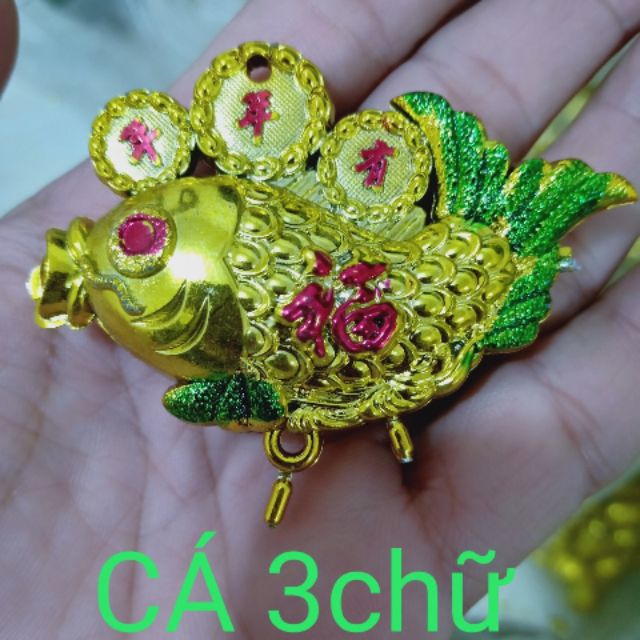 Combo thoi vang