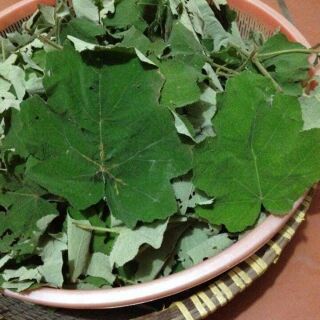 100% lá mâm xôi 1kg nguyên lá làm dầy niêm mạc