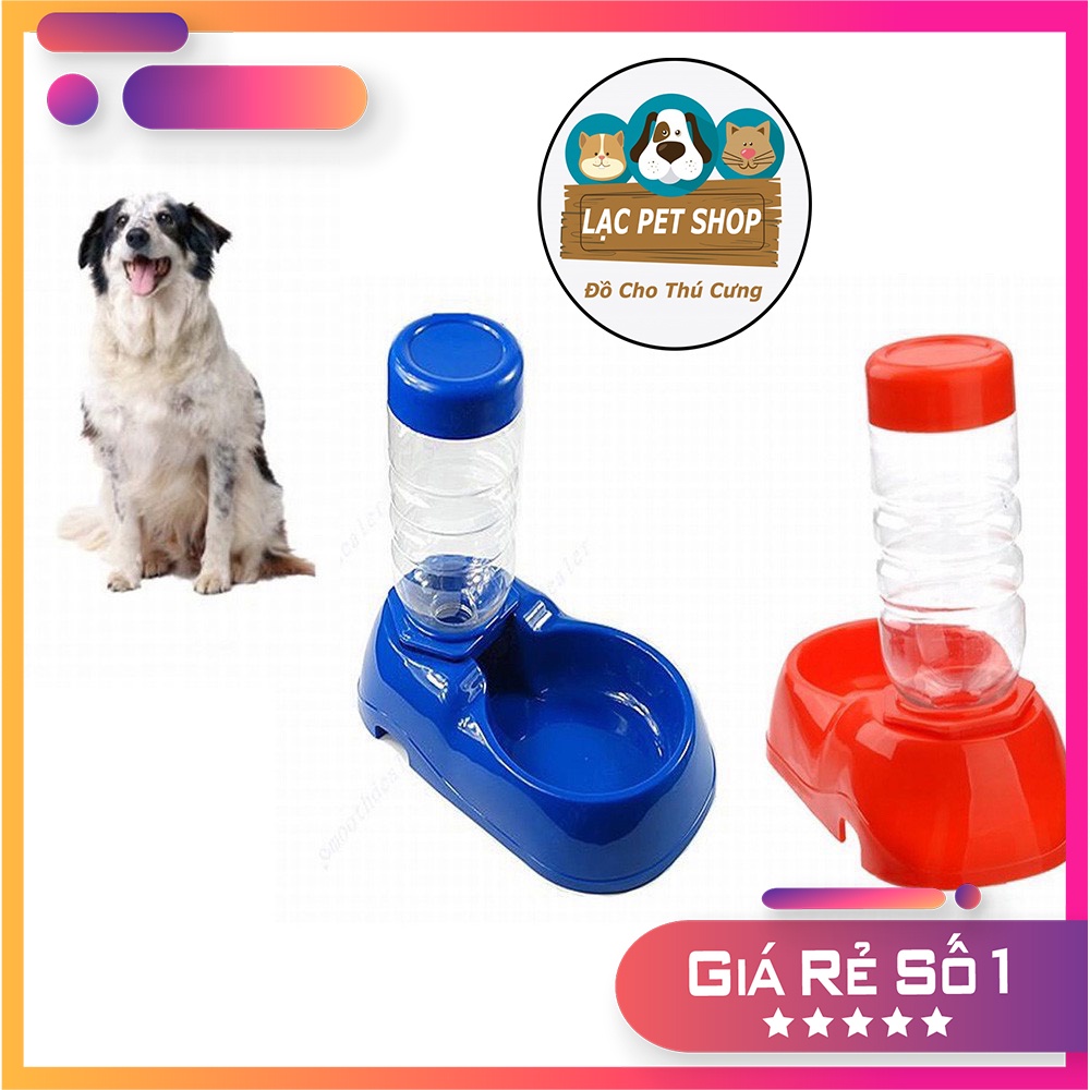 Bát uống nước tự động, chó mèo, bát đơn đặt nền kèm bình chứa nước - Màu ngẫu nhiên