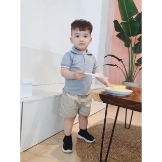Set poly công tử