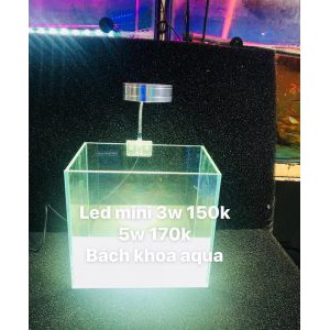 Đèn Led Mini