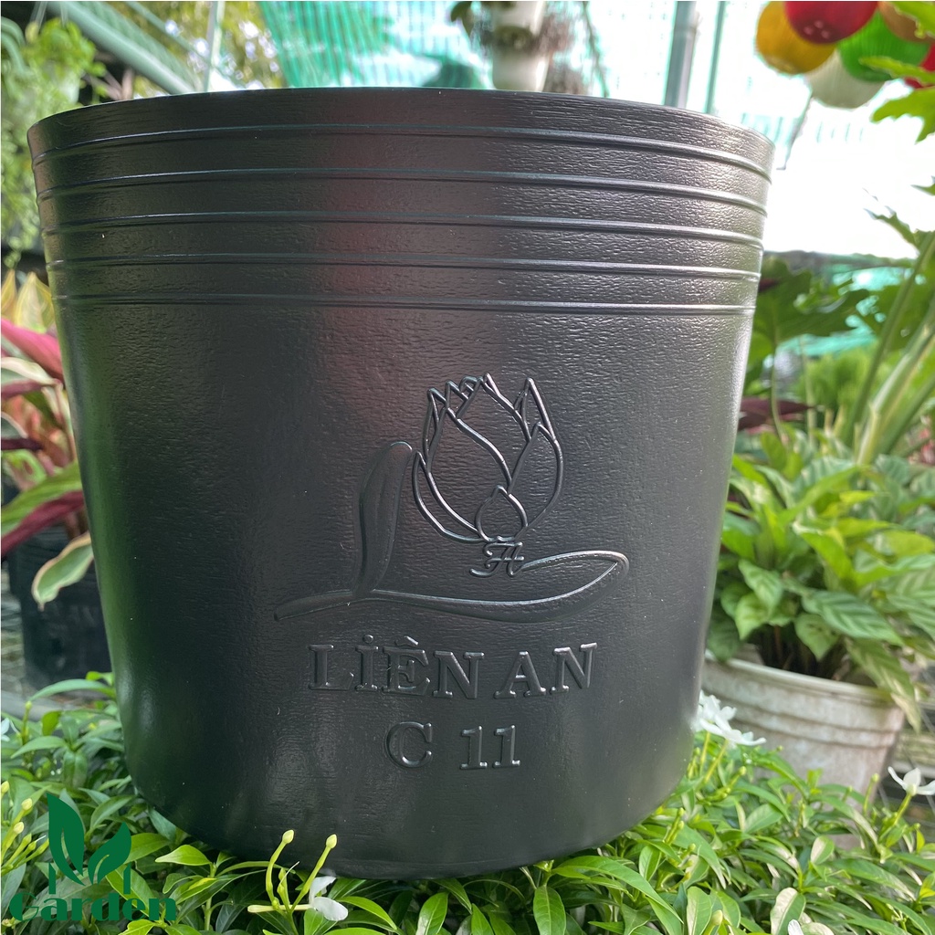 Chậu nhựa đen  dẻo trồng và ươm cây C11  - Liên An