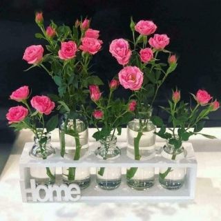 Sét 5 bình hoa thuỷ tinh kèm khung gỗ chữ home