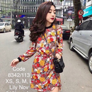 Váy hoa zara dài tay 8342/113