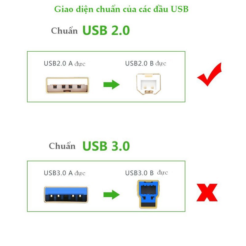 Cáp máy in USB 1,5m Ugreen UG-10350 đầu cáp mạ vàng_Hàng chính hãng