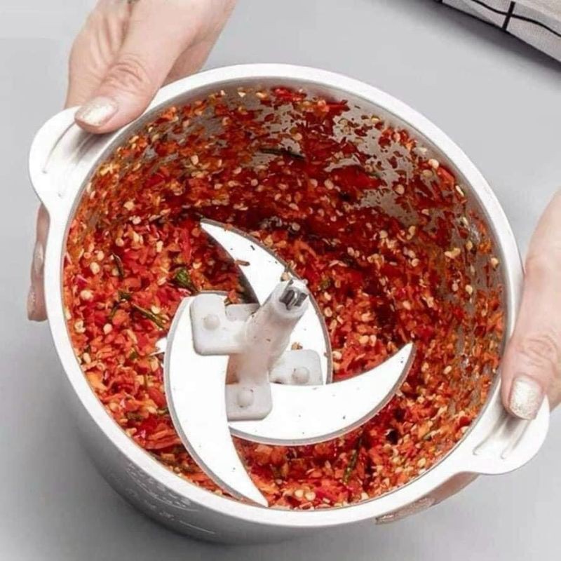 MÁY XAY THỊT GERMANY COOKING 250W