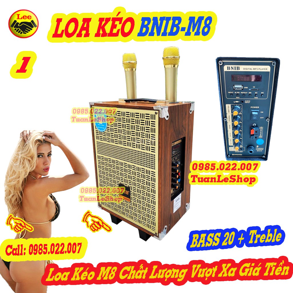 LOA KÉO BNIB – M8 BASS 20 HÀNG CAO CẤP CHÍNH HÃNG – LOA KẸO KÉO BASS 2 TẤC
