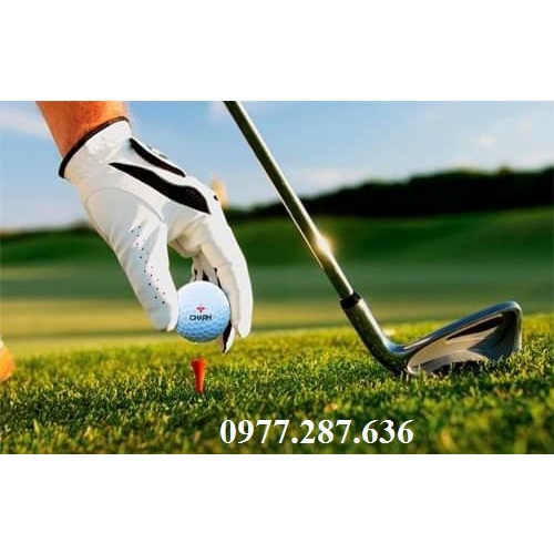 Bóng golf Charm nhập khẩu chính hãng từ Canada 1 Hộp 12 quả BB004