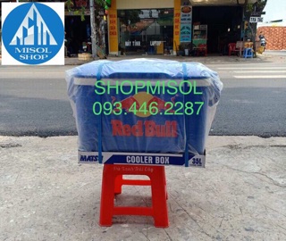 GIÁ SỐC_THÙNG ĐÁ 35 LÍT DUY TÂN