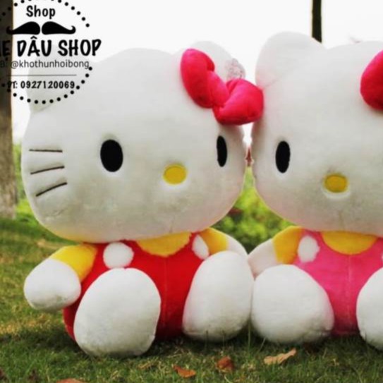 MÈO KITTY GẤU BÔNG MÈO KITTY SIZE LỚN 50cm