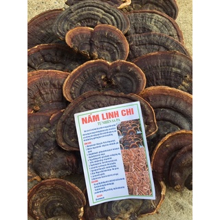 Nấm linh chi chuẩn rừng 1 kg