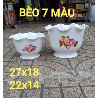 chậu ly bèo