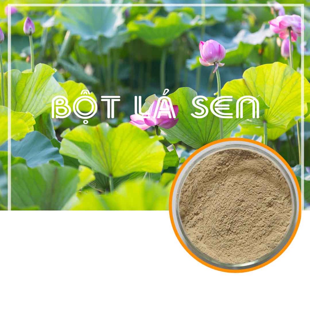 Bột lá sen 100g sấy lạnh  100% nguyên chất - giúp giảm mỡ béo, ngủ ngon - Hàng Công ty loại 1