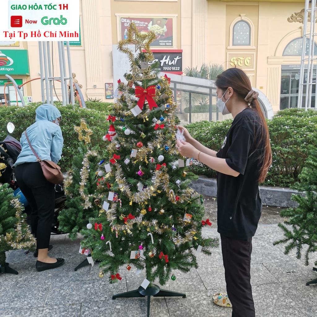 Cây Thông Noel 1m5 Trang Trí Noel Giáng Sinh 1m5 Có Kèm Phụ Kiện Trang Trí Thông Việt Nam Cao Cấp