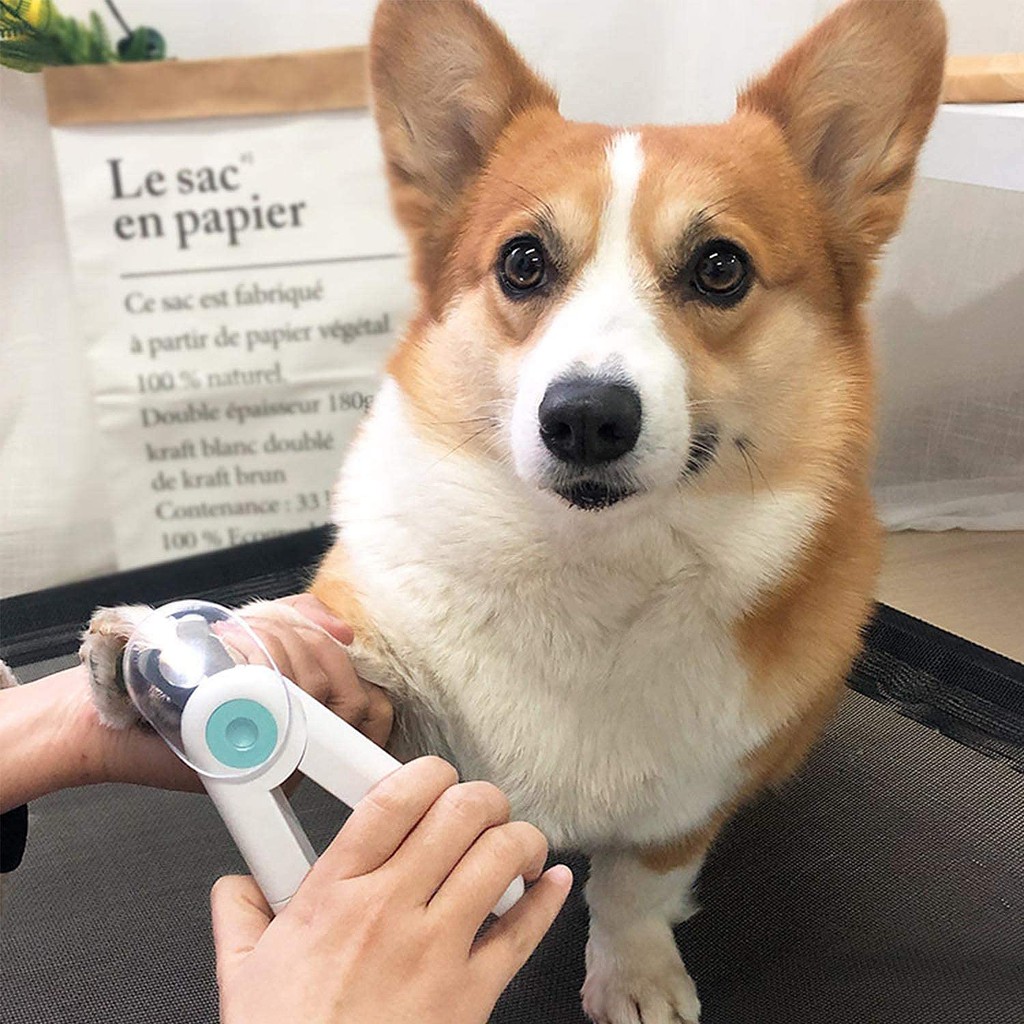 TOGEWITHU Dụng Cụ Cắt Móng Tay Có Đèn Led Dành Cho Thú Cưng Thú Cưng