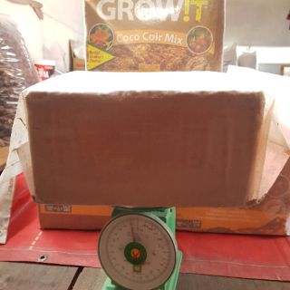 Mụn dừa/ Mụn dừa ép cục/ Mụn dừa đã xử lý