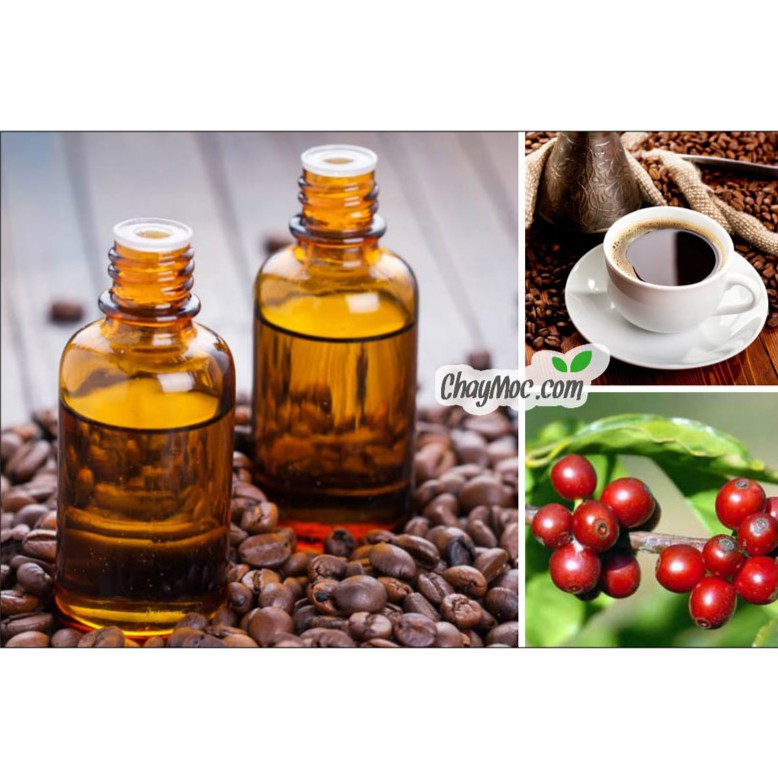 Tinh dầu Cafe nguyên chất 10ml_cao cấp