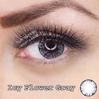 [HOT]🔥FREESHIP Lens Vassen Hàn Quốc 0 độ ( được chọn mẫu )