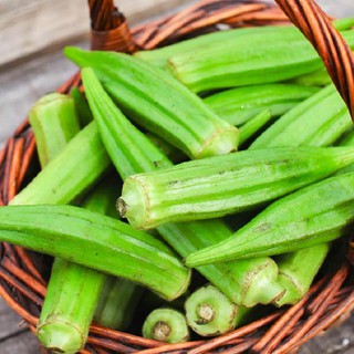 [HOT] Hạt Giống Đậu Bắp Xanh - 50 hạt