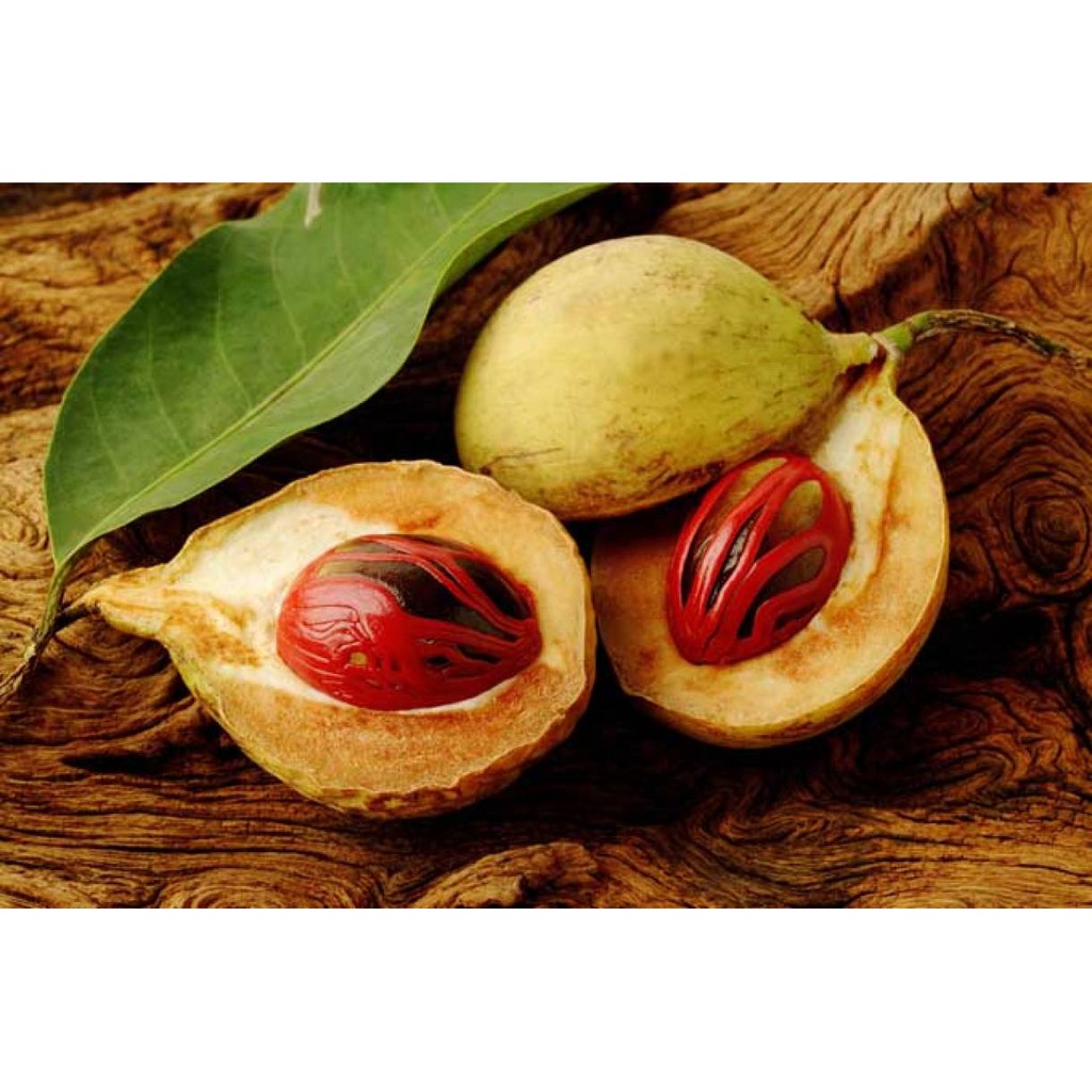 Nhục đậu khấu Ông Chà Và 500gram (Nutmeg)