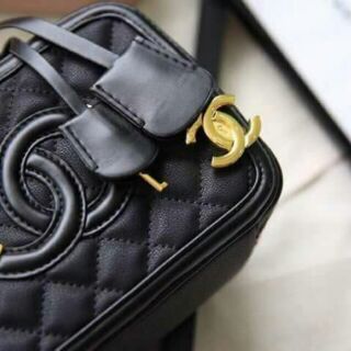 Chanel case