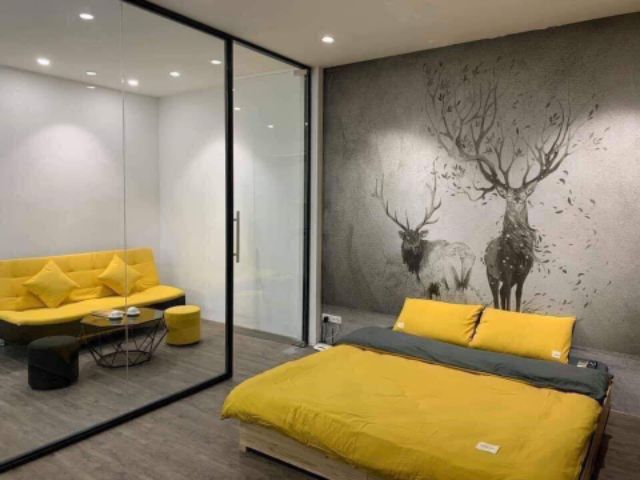 Bộ chăn ga gối Coton TC xuất nhật( có video) | BigBuy360 - bigbuy360.vn