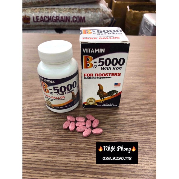 VITAMINA B12-5000 -