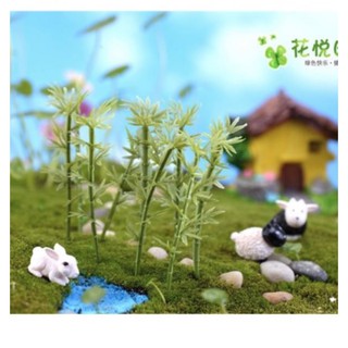 Cây Trúc Phụ Kiện Trang Trí Tiểu Cảnh, Sen Đá, Trang Trí Tiểu Cảnh Sen Đá, Chậu Cây Cảnh, Cây Bonsai, Xương Rồng